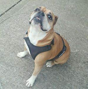 Meet your Posher, Jenny